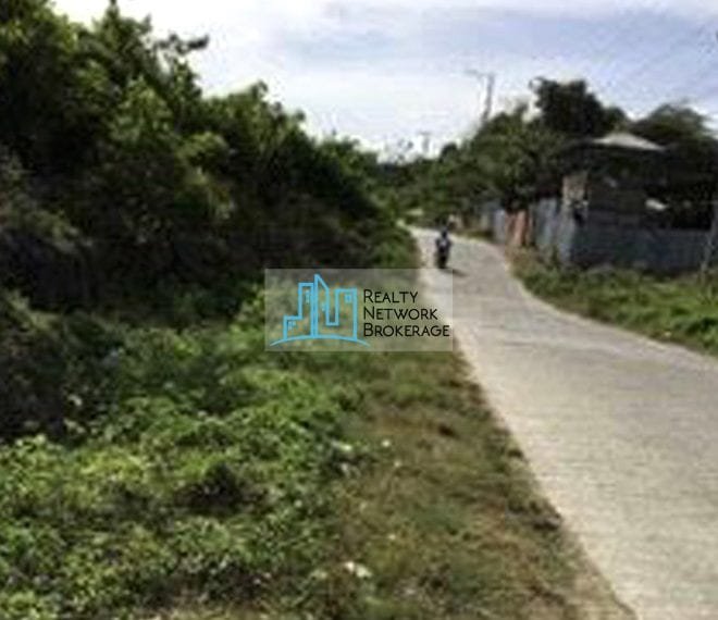 22-hectares-lot-for-sale-in-talamban-roadview-profile