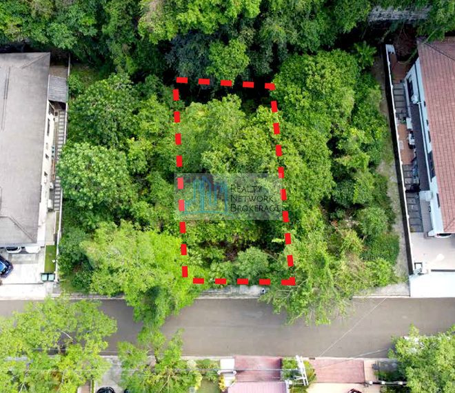 maria-luisa-lot-for-sale-374-sqm-birds-view-edited-profile