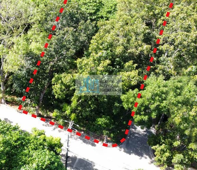 maria-luisa-lot-for-sale-top-view-edited-profile