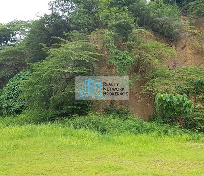 lot-for-sale-near-pristina-north-talamban-profile