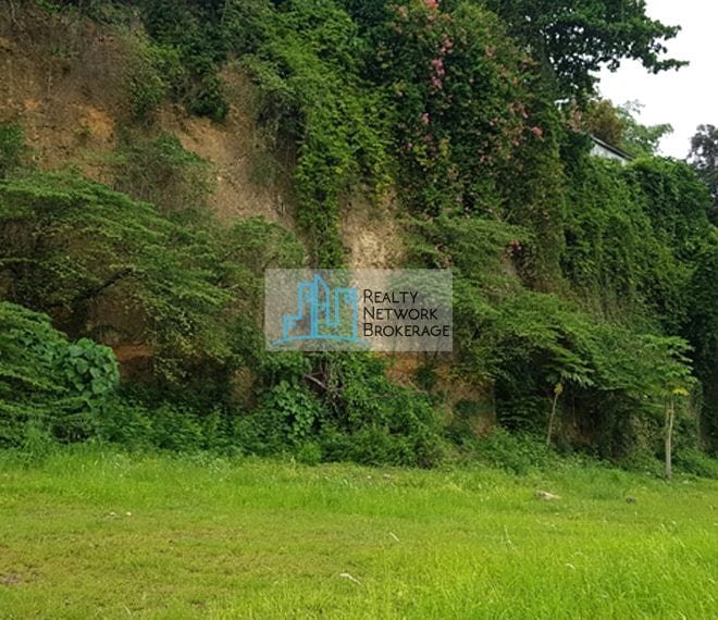 lot-for-sale-near-pristina-north-talamban-lot-3-profile