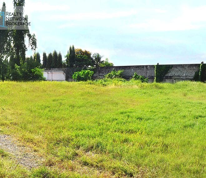 mandaue-city-lot-for-sale-land-2-profile