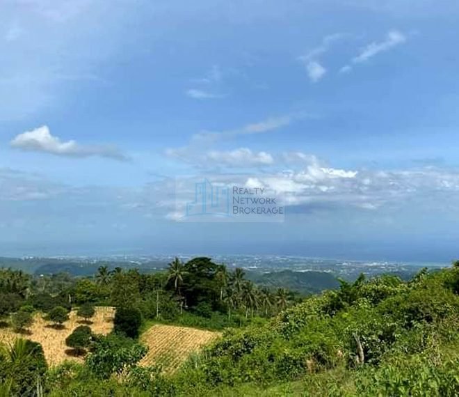 22-hectares-titled-lot-for-sale-in-san-fernando-cebu-03jpg-profile