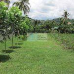 commercial-lot-for-sale-in-talamban-lot-01-profile