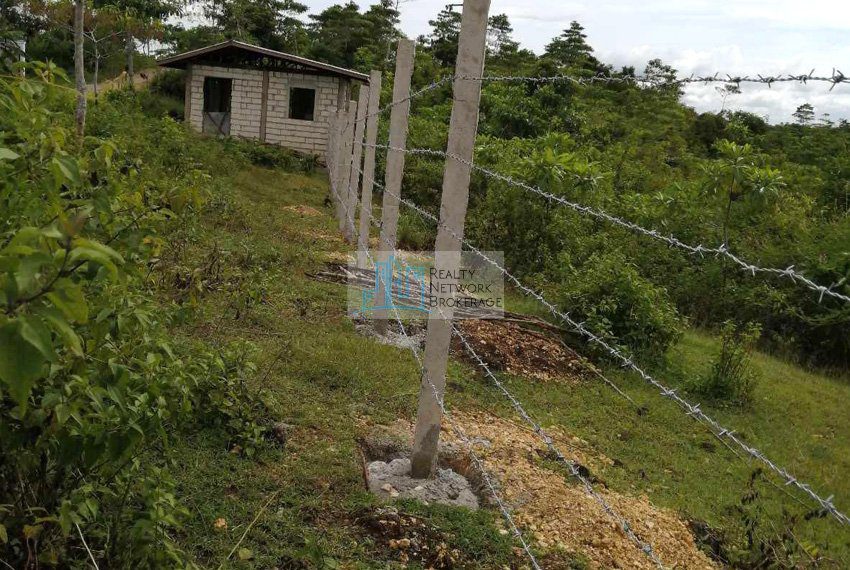 8-hectares-borbon-poultry-farm-lot-for-sale-lot-fence-angle