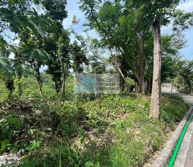 downhill-lot-for-sale-in-maria-luisa-subdivision-lot-01-profile