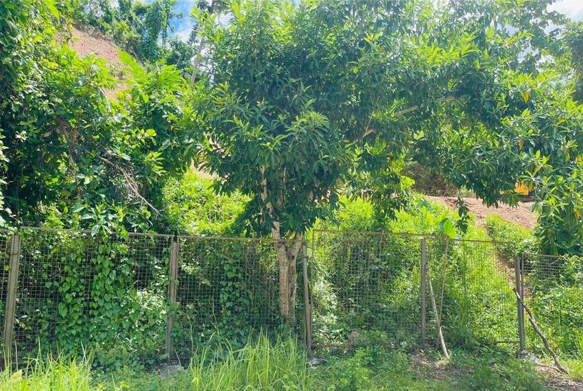 955-sqm-lot-in-maria-luisa-cebu-for-sale-lot-view-03